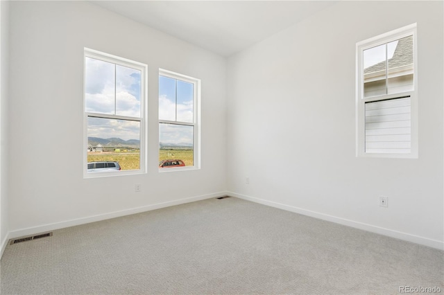 11106 Stonepath St, Littleton, CO 80125 - photo 37