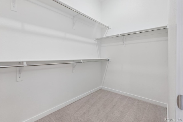 11106 Stonepath St, Littleton, CO 80125 - photo 41