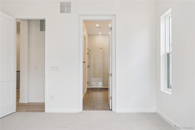 11106 Stonepath St, Littleton, CO 80125 - photo 40