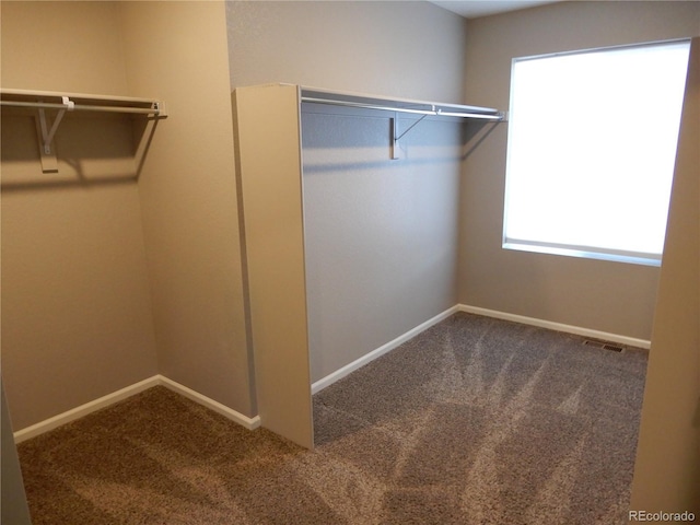 spacious closet featuring carpet flooring