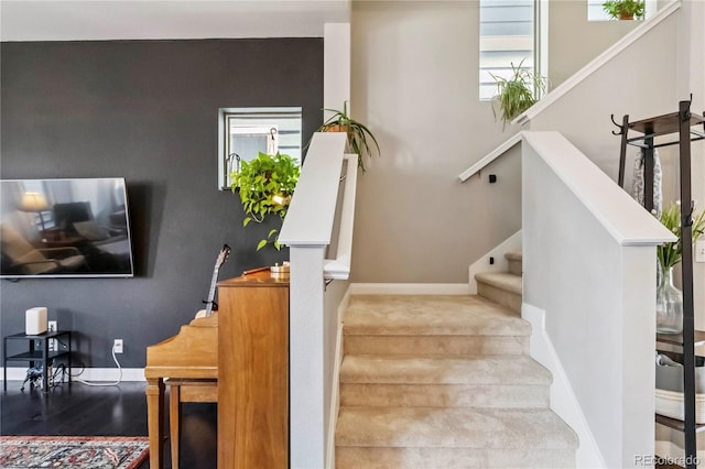 6721 Alan Dr, Denver, CO 80221 - photo 19
