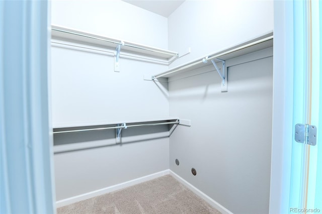 spacious closet featuring light colored carpet