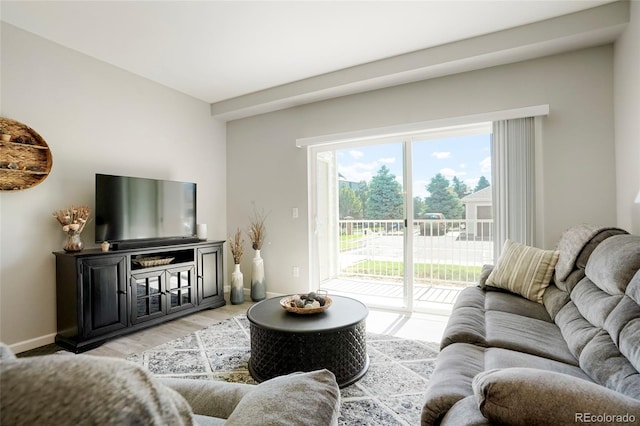 living room with light hardwood / wood-style flooring