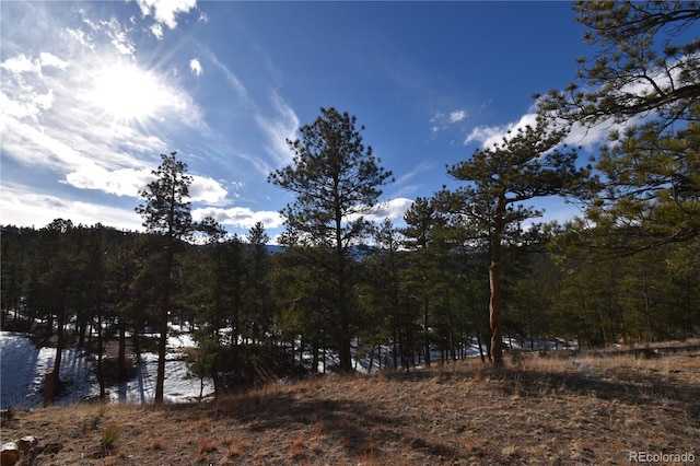 view of wooded area