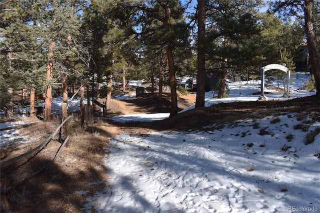 view of yard layered in snow