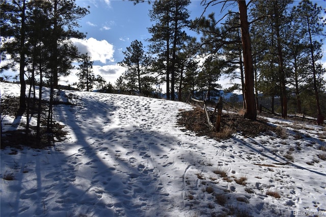 view of mountain feature