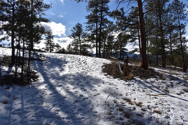 view of yard covered in snow