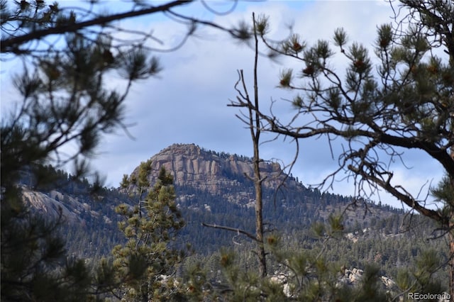 mountain view featuring a forest