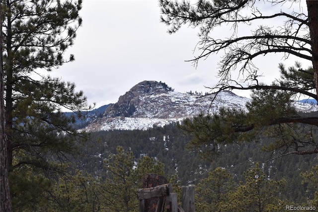 view of mountain backdrop with a forest