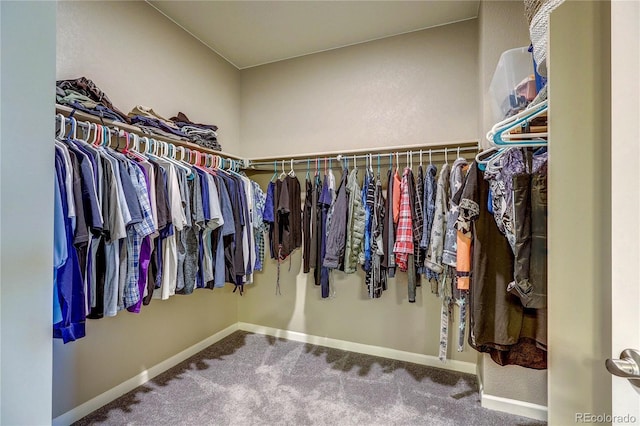15619 Syracuse Way, Thornton, CO 80602 - spacious closet with carpet floors