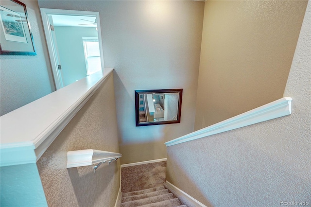 15619 Syracuse Way, Thornton, CO 80602 - stairs featuring carpet flooring and a textured wall