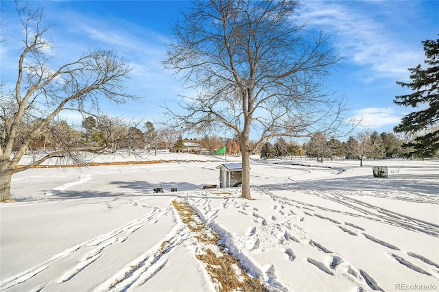 view of snowy yard