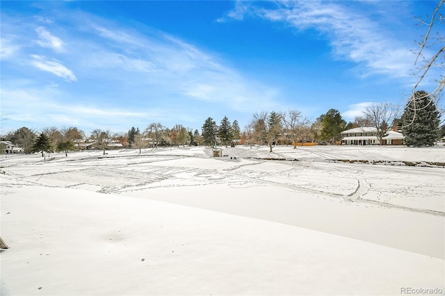 view of snowy yard