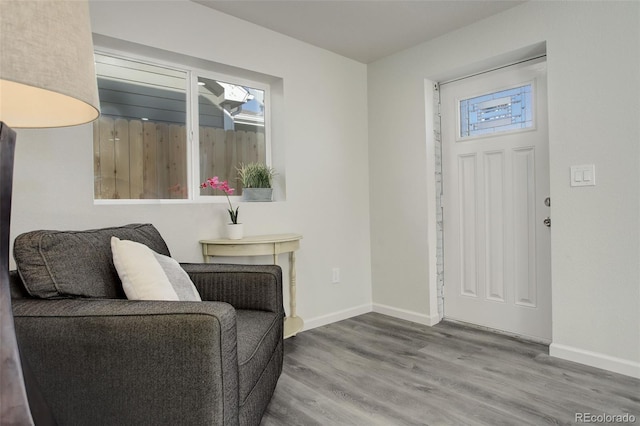 entrance foyer with a wealth of natural light and wood-type flooring