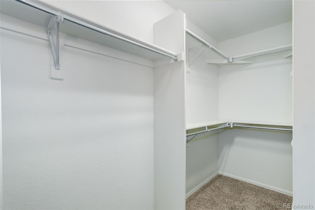 25812 E Cedar Pl, Aurora, CO 80018 - spacious closet with carpet