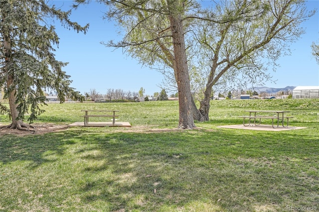 view of yard