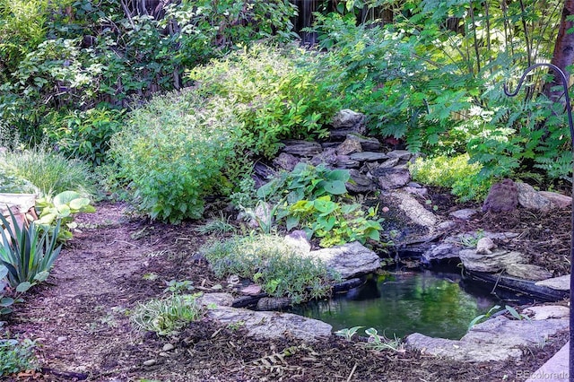1661 Oneida St, Denver, CO 80220 - view of nature