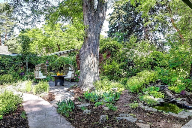 1661 Oneida St, Denver, CO 80220 - view of yard with an outdoor fire pit