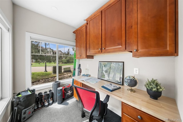 16600 Las Ramblas Ln Unit A, Parker, CO 80134 - office area featuring built in desk and carpet floors
