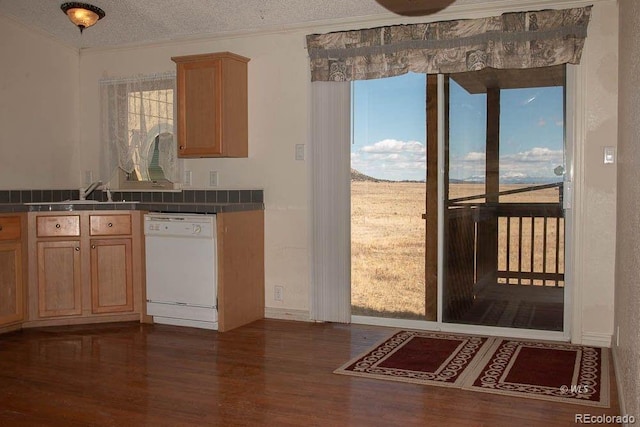 kitchen featuring a textured ceiling, dishwasher, dark hardwood / wood-style floors, and sink