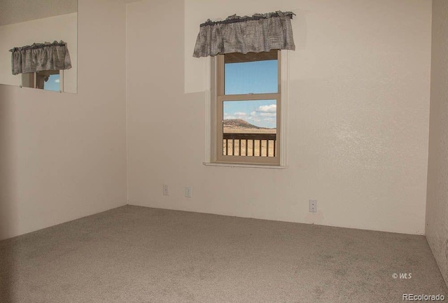 unfurnished room with carpet