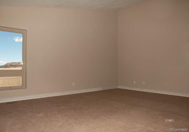 carpeted spare room featuring a textured ceiling and lofted ceiling