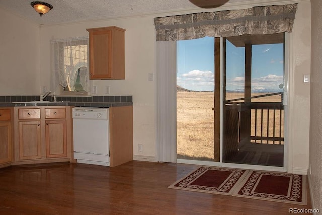 kitchen featuring dark hardwood / wood-style flooring, sink, white dishwasher, and a textured ceiling