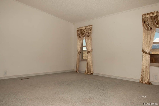 spare room featuring light colored carpet and a textured ceiling