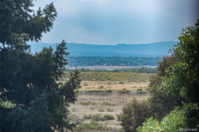 13902 E Marina Dr Unit 303, Aurora, CO 80014 - mountain view with rural landscape