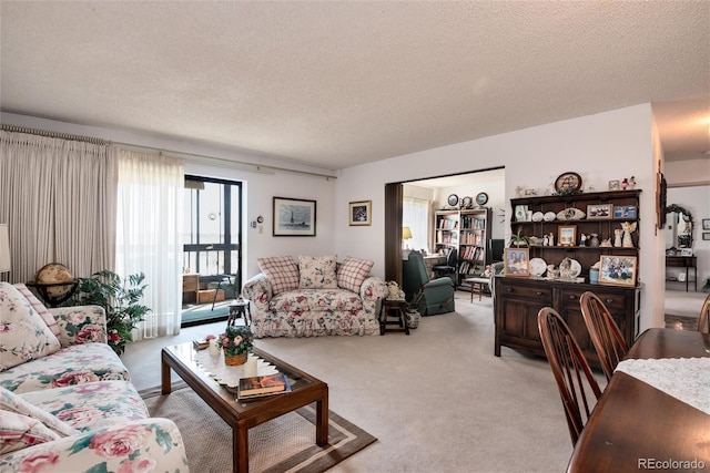 13902 E Marina Dr Unit 303, Aurora, CO 80014 - carpeted living room with a textured ceiling