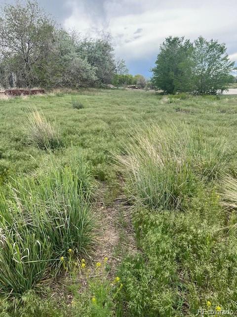 3233 County Road 19, Brighton, CO 80603