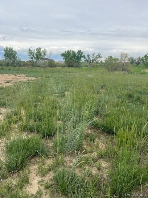 3233 County Road 19, Brighton, CO 80603