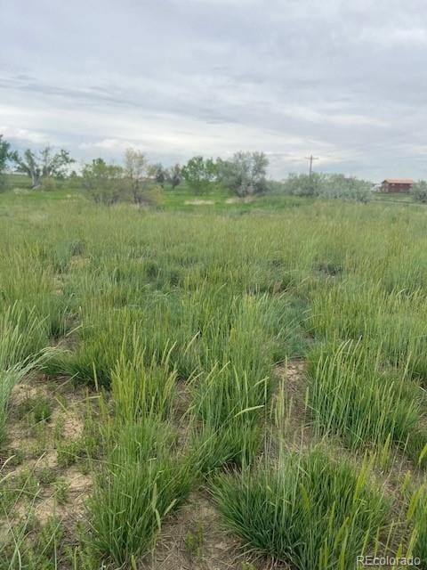 3233 County Road 19, Brighton, CO 80603
