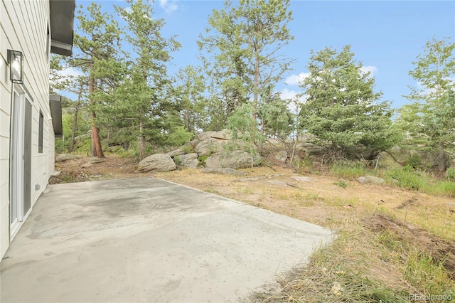 8919 Hillview Rd, Morrison, CO 80465 - photo 43