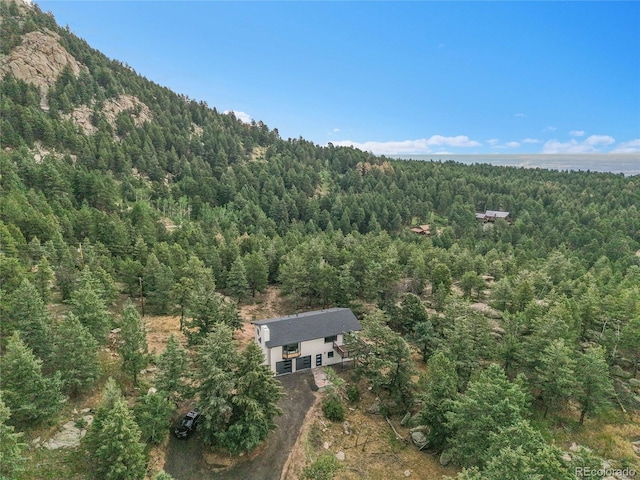8919 Hillview Rd, Morrison, CO 80465 - photo 47