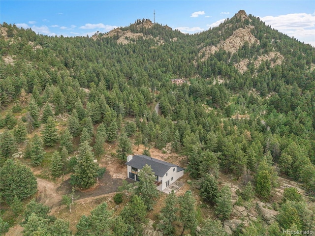 8919 Hillview Rd, Morrison, CO 80465 - photo 48