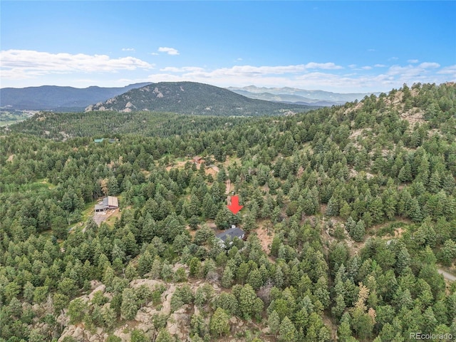 8919 Hillview Rd, Morrison, CO 80465 - photo 49