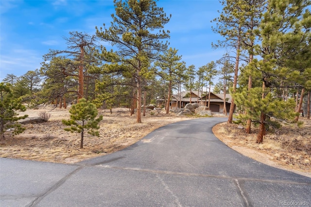 1524 Fox Acres Dr Unit 412, Red Feather Lakes, CO 80545 - view of property hidden behind natural elements