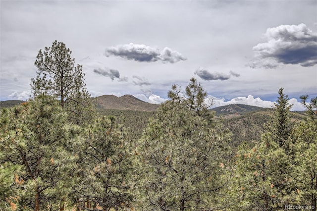 16626 Ouray Rd W, Pine, CO 80470 - view of mountain background featuring a forest