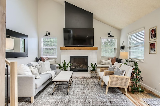 16626 Ouray Rd W, Pine, CO 80470 - living room featuring wood finished floors, high vaulted ceiling, a fireplace, and baseboards