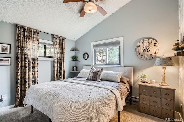16626 Ouray Rd W, Pine, CO 80470 - bedroom featuring light colored carpet, multiple windows, a baseboard radiator, a textured ceiling, and high vaulted ceiling