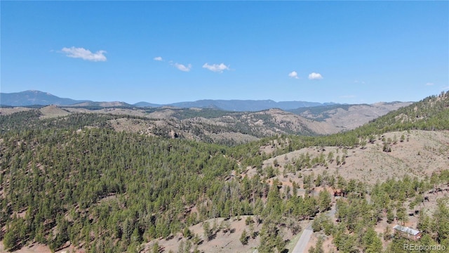 16626 Ouray Rd W, Pine, CO 80470 - view of mountain backdrop featuring a forest