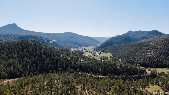 16626 Ouray Rd W, Pine, CO 80470 - view of mountain backdrop featuring a heavily wooded area