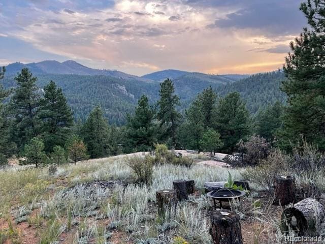 16626 Ouray Rd W, Pine, CO 80470 - photo 3