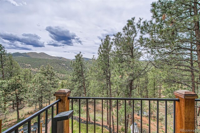 16626 Ouray Rd W, Pine, CO 80470 - photo 19