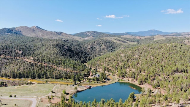 16626 Ouray Rd W, Pine, CO 80470 - photo 49
