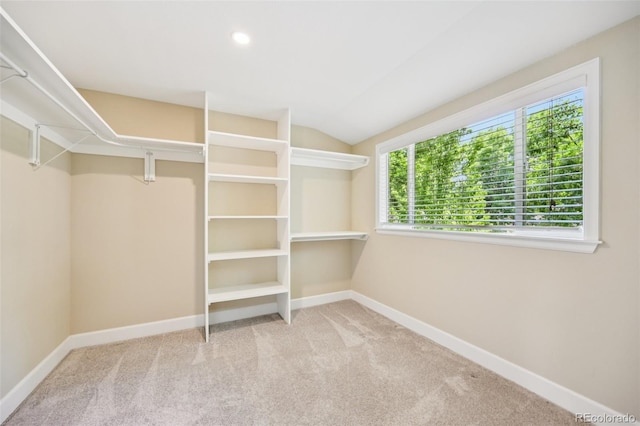 2880 S High St, Denver, CO 80210 - spacious closet with carpet flooring and lofted ceiling