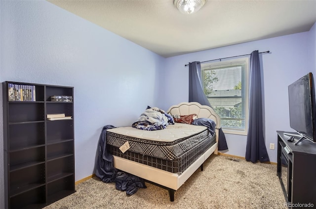 7230 W 20th Street Ln, Greeley, CO 80634 - photo 19