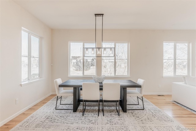 dining room with light hardwood / wood-style floors