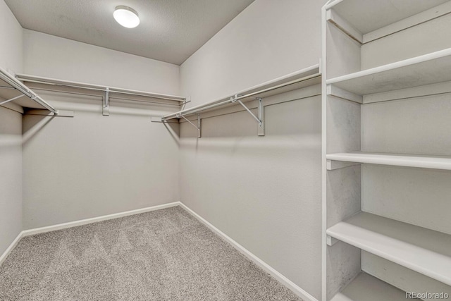 walk in closet with carpet